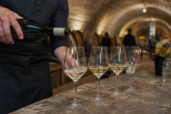 Wine glasses on a bar counter