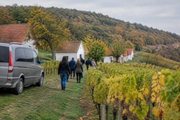 Half-Day Trip, City and Countryside, Starts in Vienna