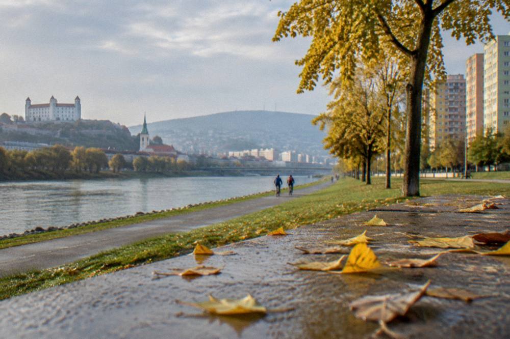 Autumn trees along a riverside promenade with apartment blocks behind