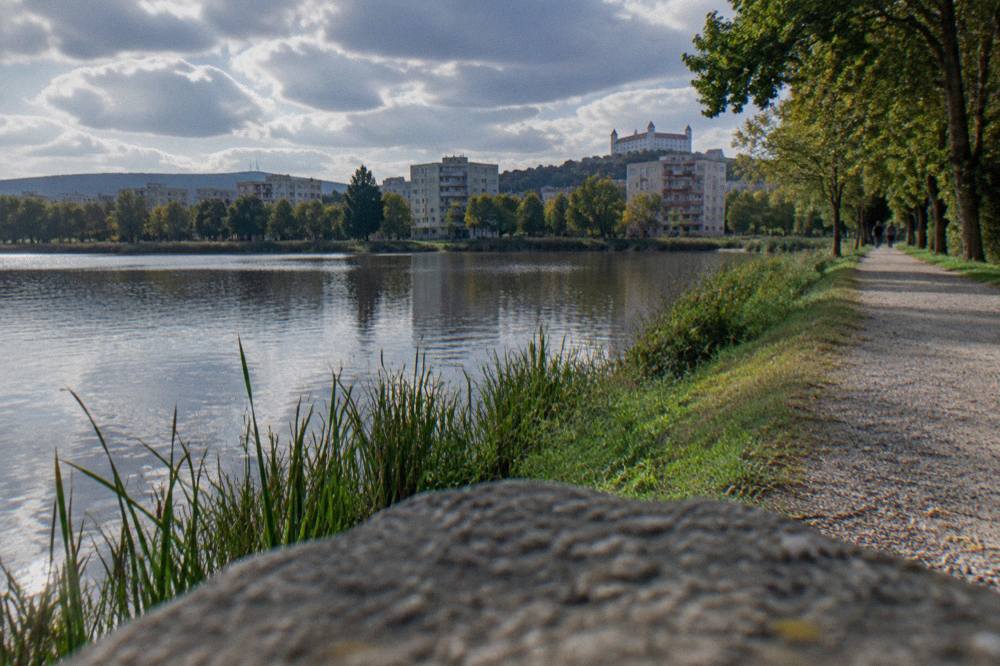 A tree-lined path beside water with apartment blocks beyond the trees