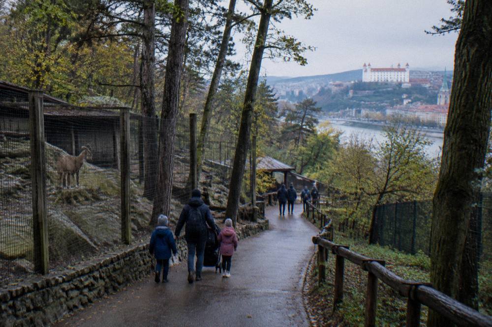 Zoo grounds, Bratislava