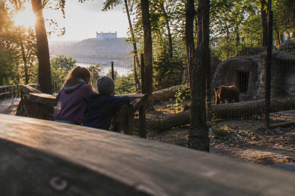 Children watching an animal enclosure from a wooden viewing platform
