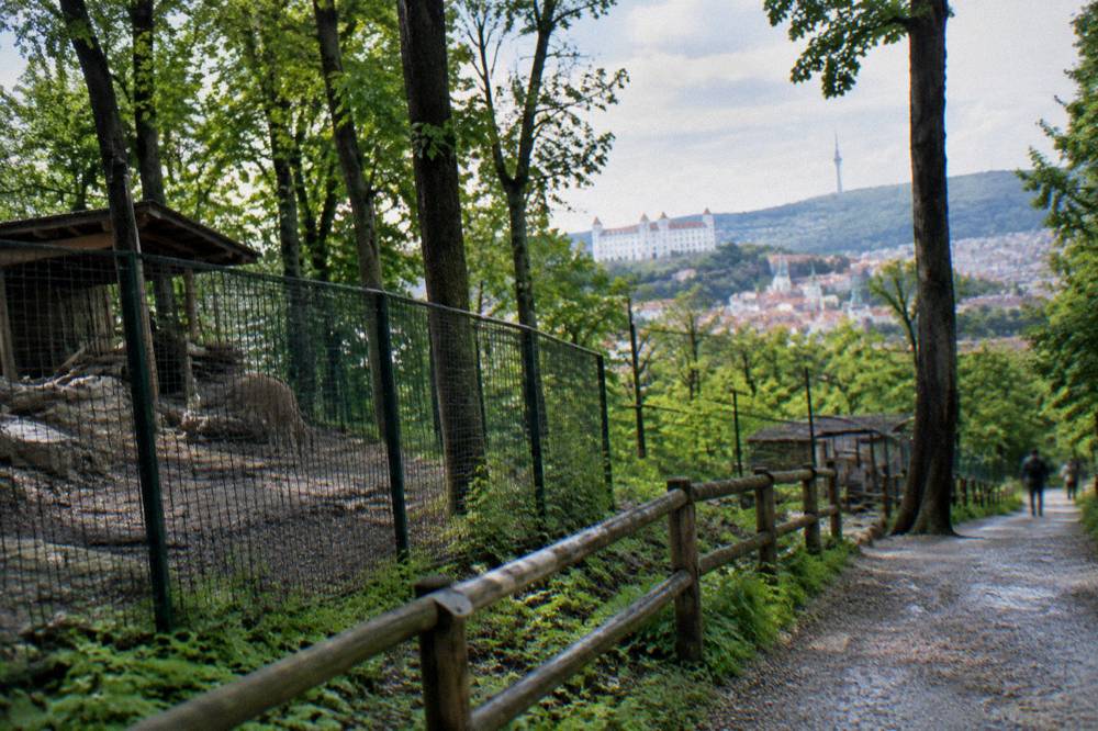 A green valley with a hillside TV tower in the distance above the trees