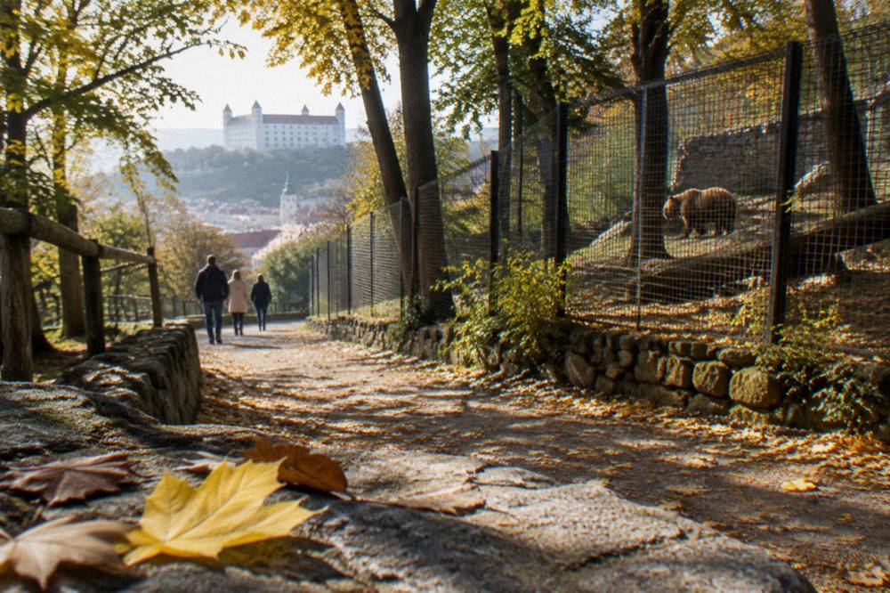 Autumn leaves along a zoo pathway with morning light