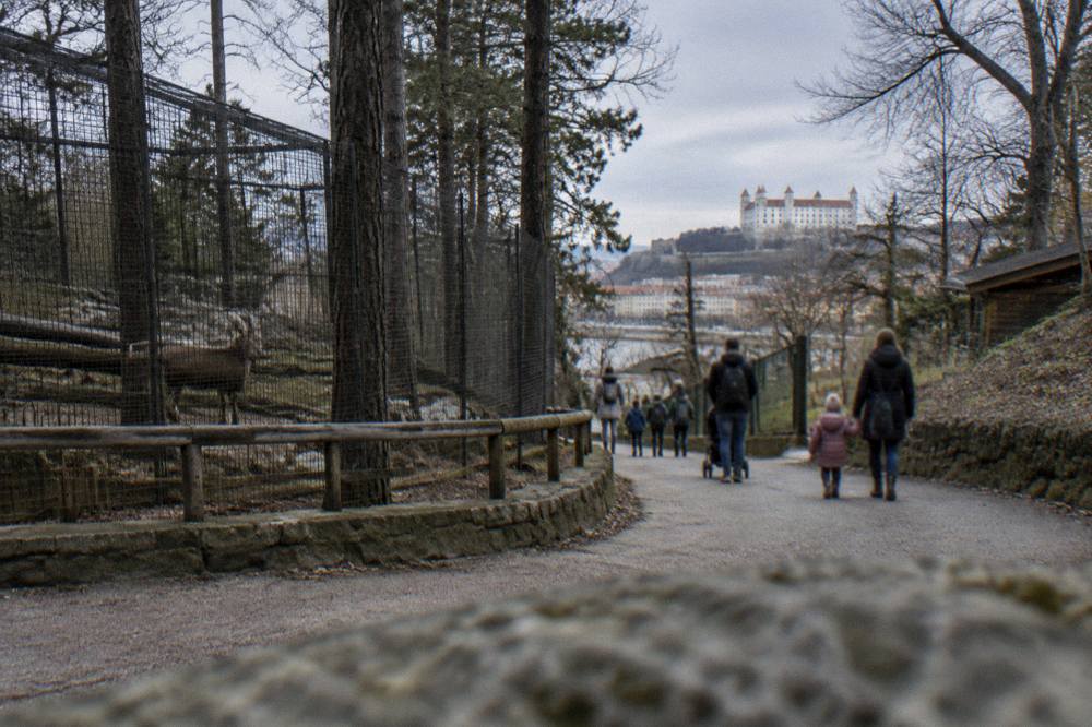 A quiet zoo pathway in late afternoon light with families heading toward the exit