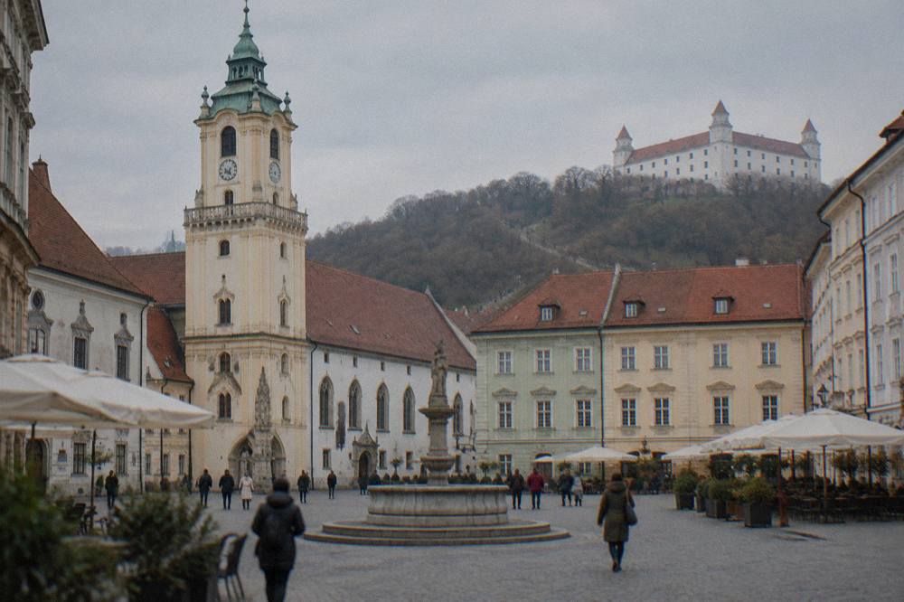 A marked trail leading through low forest on a hill above Bratislava