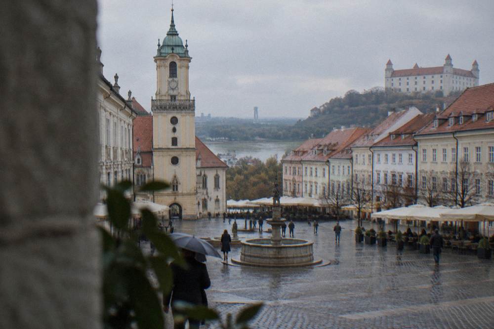 A panoramic view over rivers and lowland forest near Bratislava