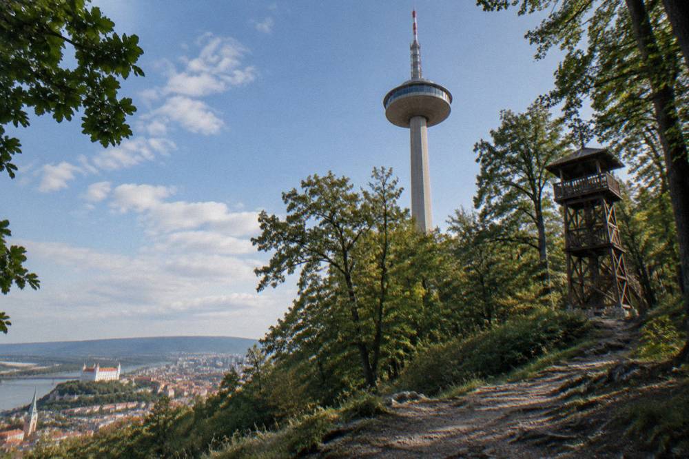 A wooden observation tower standing among trees on a forested hill