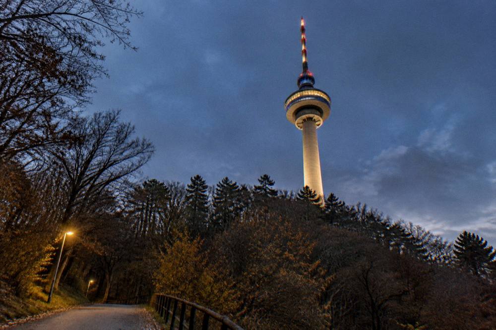 An evening view of a brightly lit television tower against a darkening sky over forest