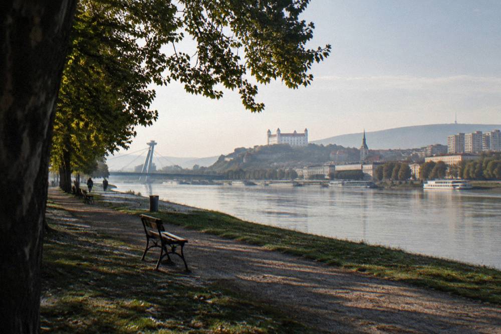 A view along the Danube riverbank with a bridge tower in the distance