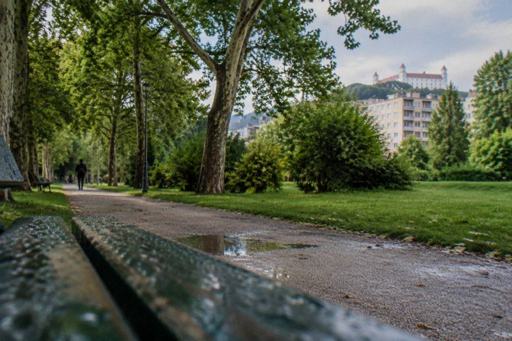 A walking path through dense park greenery near apartment blocks