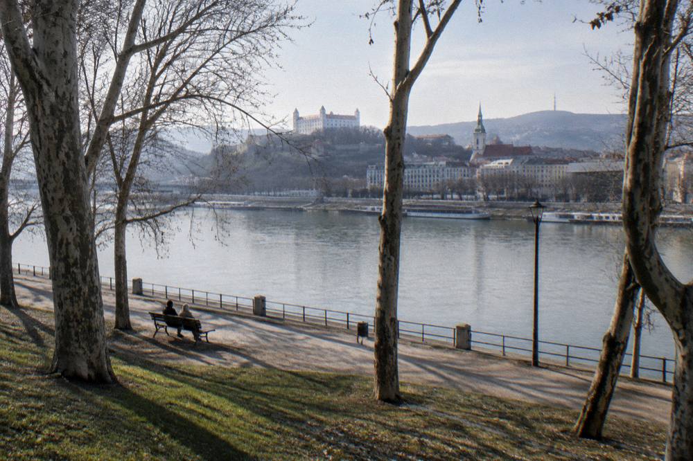 A bench under trees beside a riverside promenade
