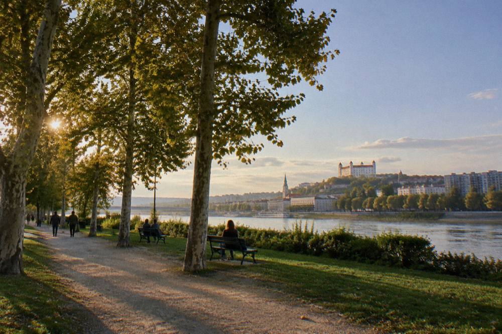 A tree-lined avenue in a park with the Danube beyond