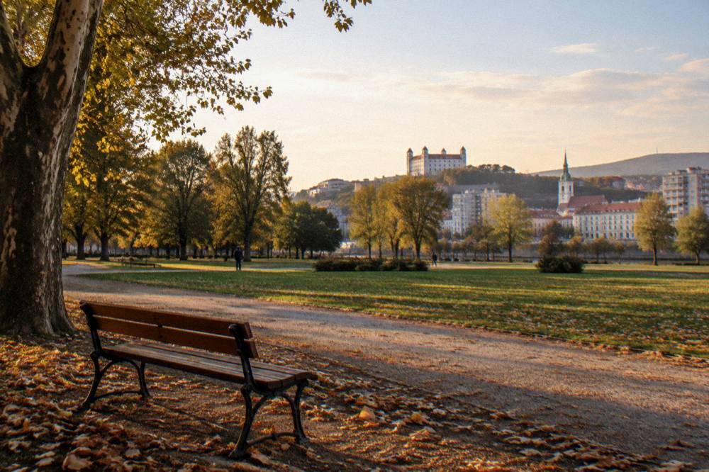 A quiet corner of a city park with a wooden bench and fallen leaves