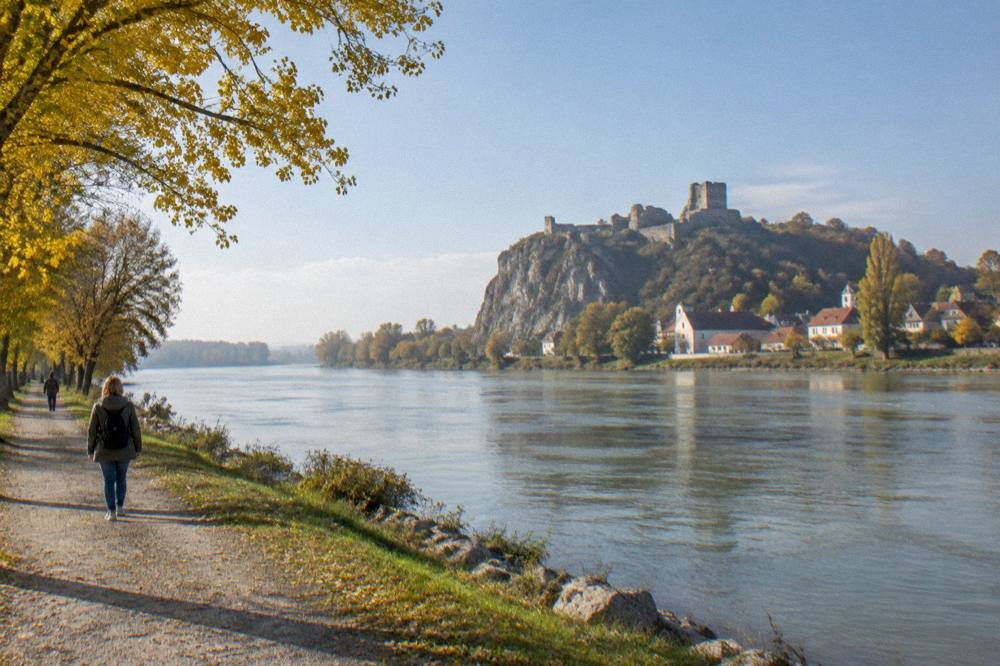 Autumn trees along a riverbank with a castle hill in the distance