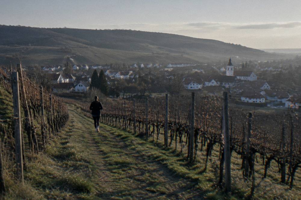 Vineyard covered hills with a small town at their foot in warm evening light