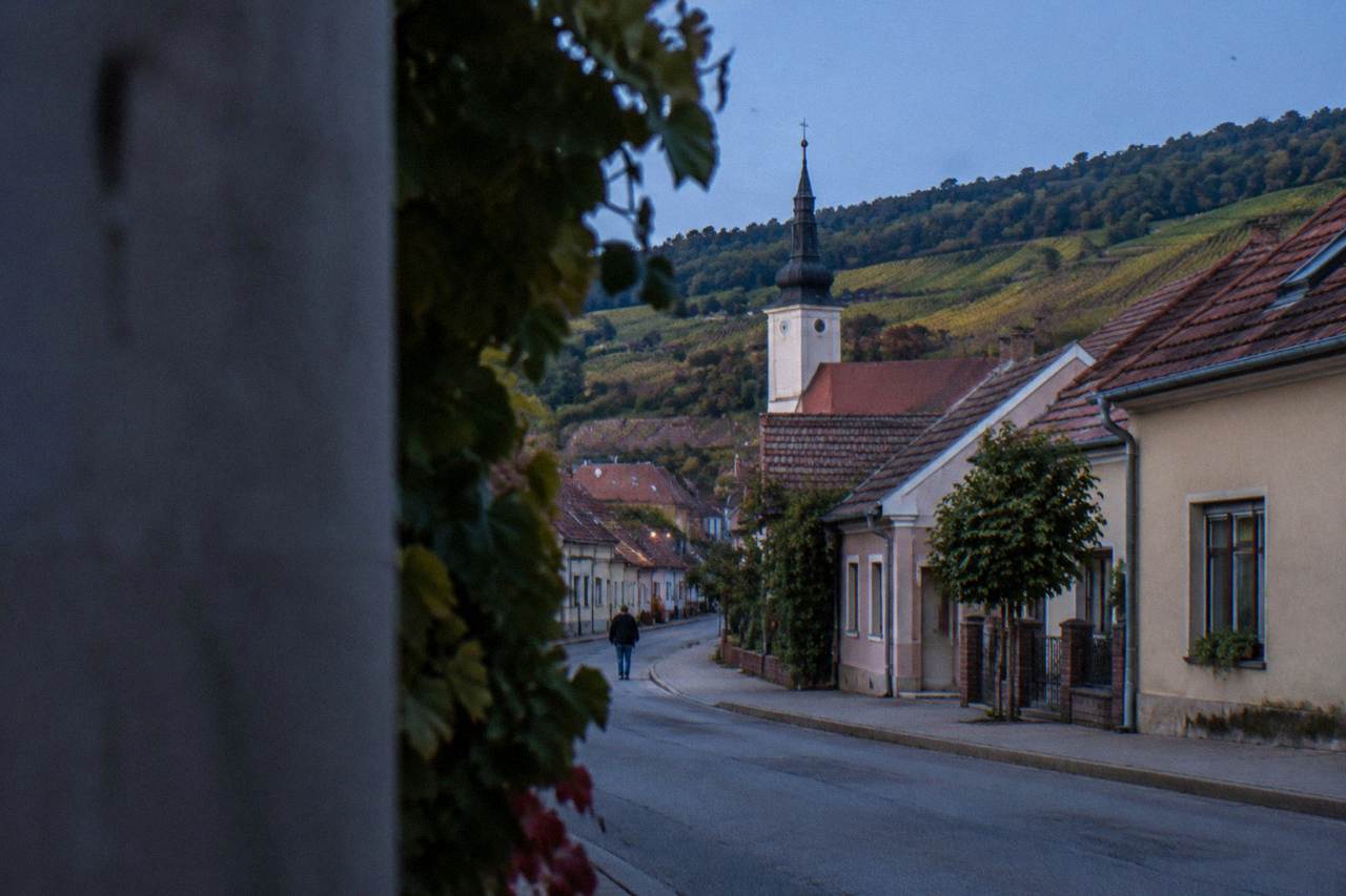 A small wine town street with low houses and wooded hills behind