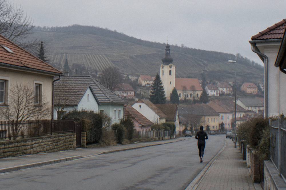 Rows of vines on a hillside above a Small Carpathians village