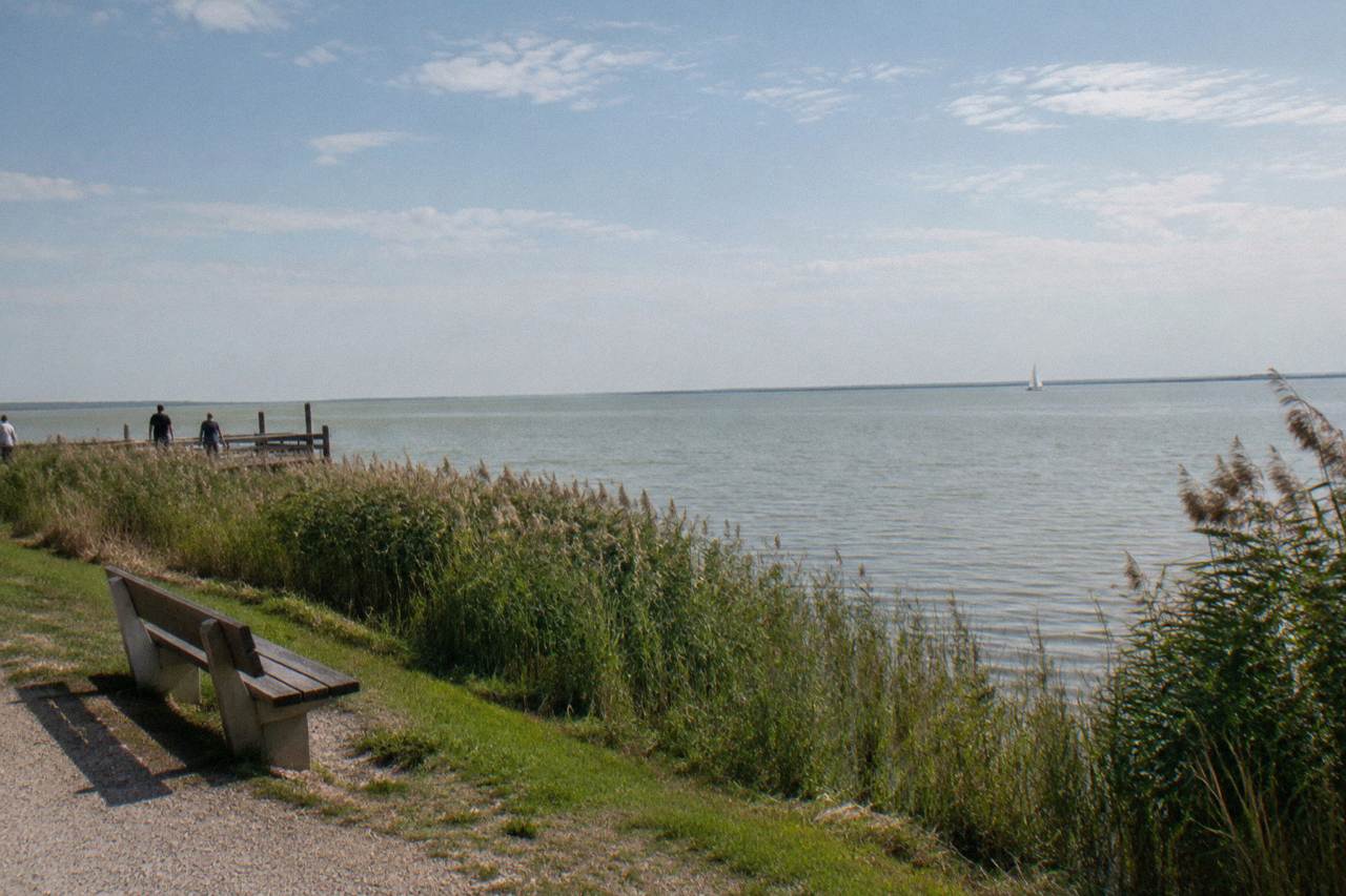 A wide shallow lake with reed beds along the shore and a low horizon under an open sky