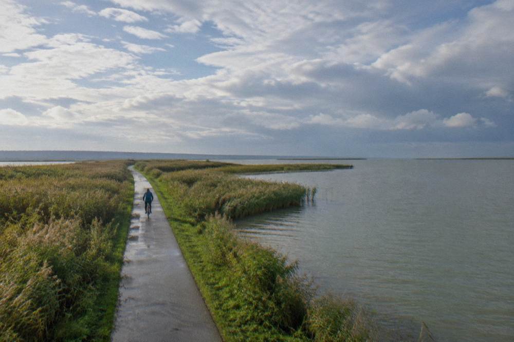 A flat cycle path running between reed beds and open water under a wide sky