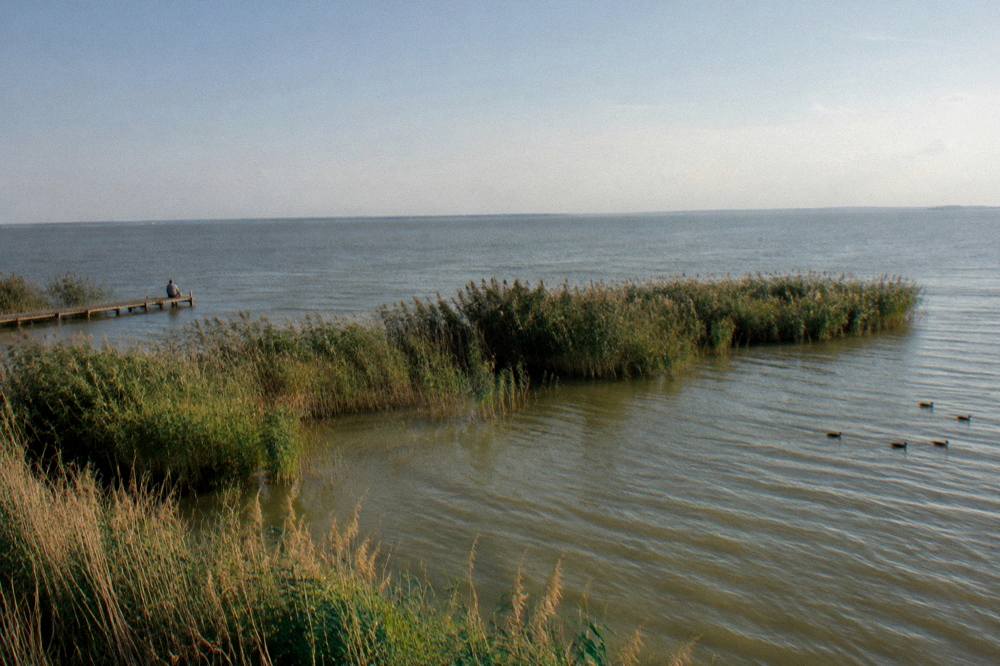 A wide landscape of water and reeds stretching to a low horizon at midday