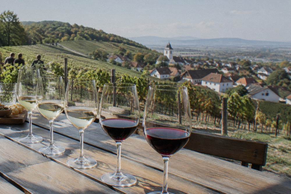 Glasses of white and red wine lined up on a wooden tasting table