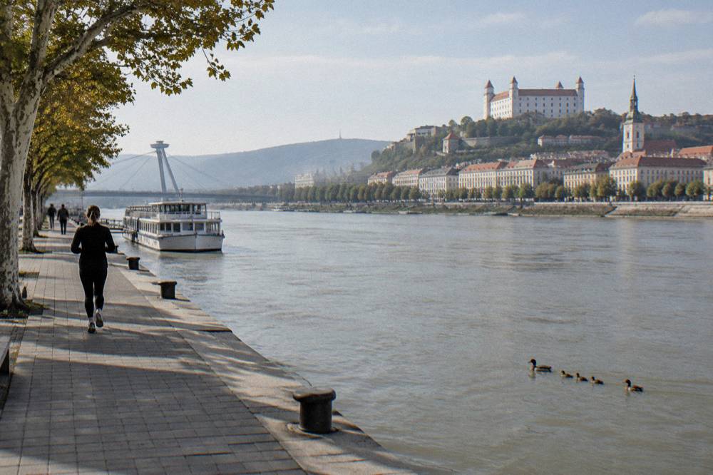 A family of ducks swimming on the Danube near Bratislava's riverfront promenade