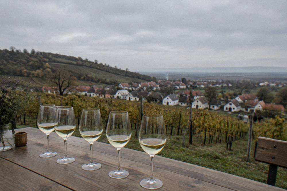 Glasses of white wine lined up on a wooden tasting table