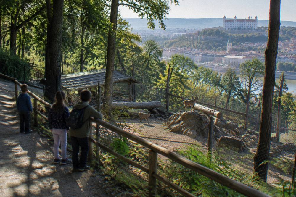 Children watching animals along a shaded path at the Bratislava Zoo
