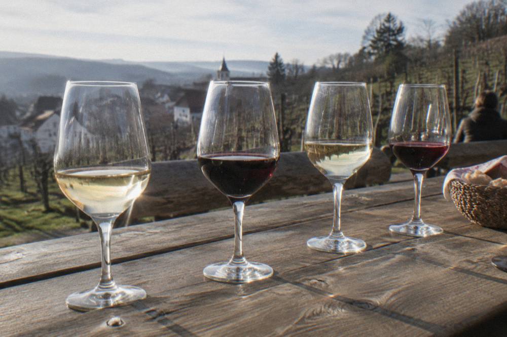 Glasses of white and red wine lined up on a wooden tasting table